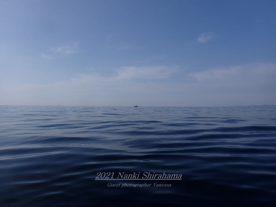 東の神風 南紀白浜 ミスオーシャンダイビングサービス 今日の海ログ