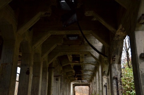 DSC_8200