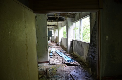 DSC_1241