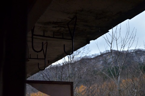 DSC_8181