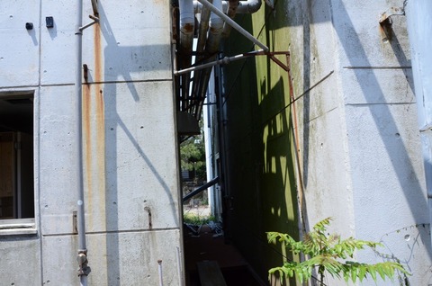 DSC_0965