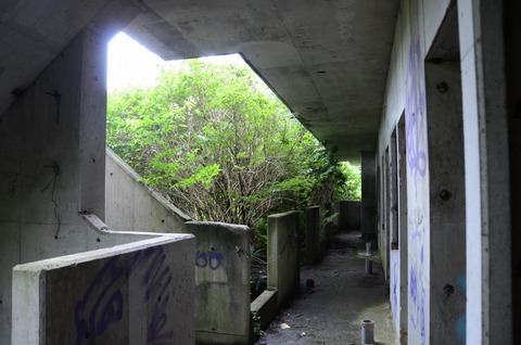 DSC_2631