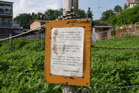 P1100825