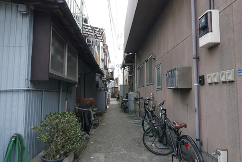 P1100681