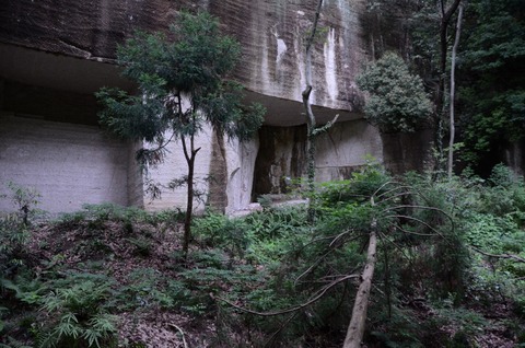 DSC_1950
