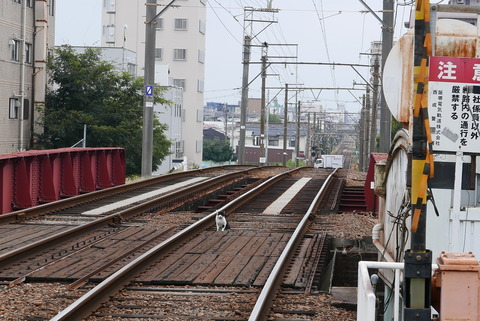 P1110055