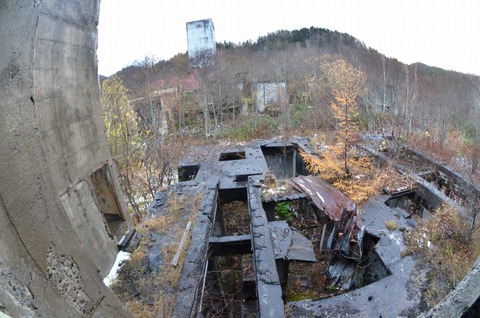 DSC_8271