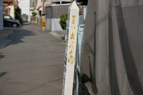 P1100653