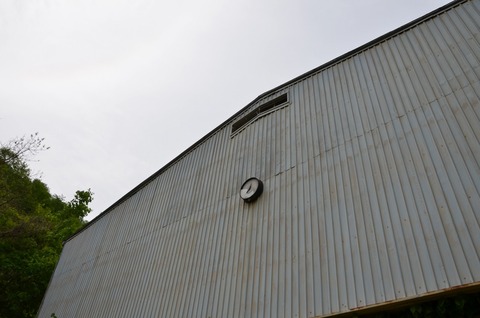 DSC_1365