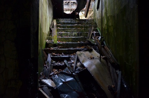 DSC_8312