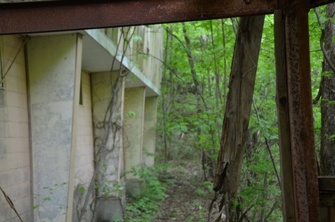 DSC_1355