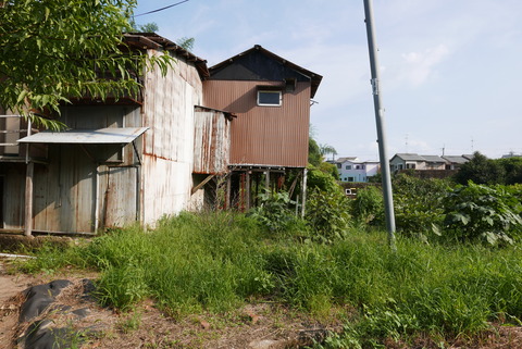 P1100809