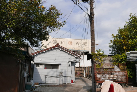 P1100660