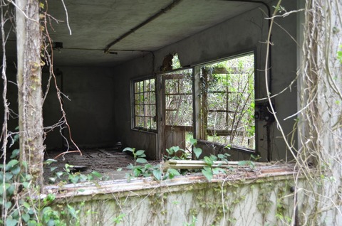DSC_0629