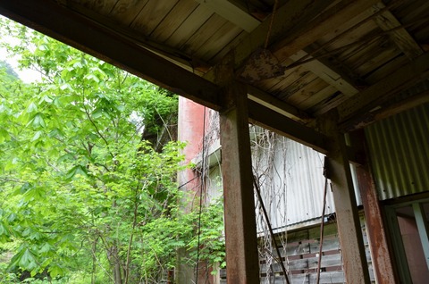 DSC_1348