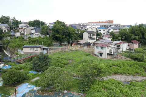 P1100857