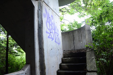DSC_2632