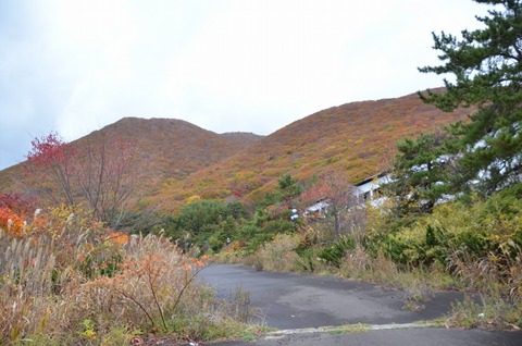 DSC_7947