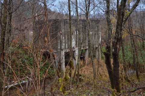 DSC_8299