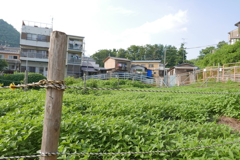 P1100827