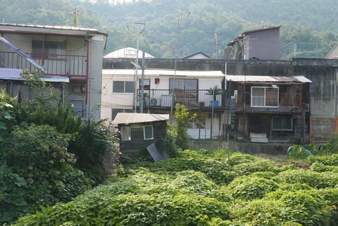 P1100817