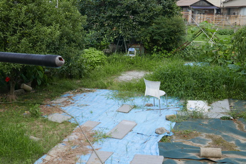 P1100890