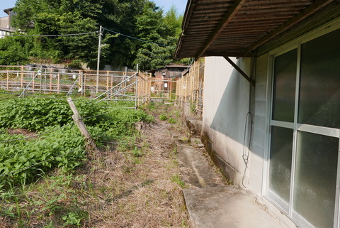 P1100826