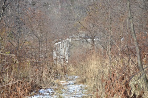 DSC_8371