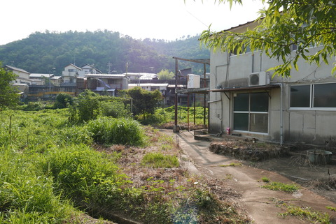 P1100806