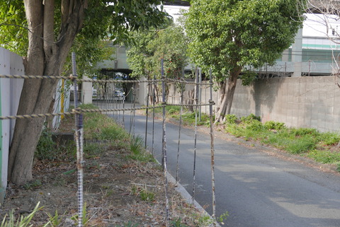 P1100663