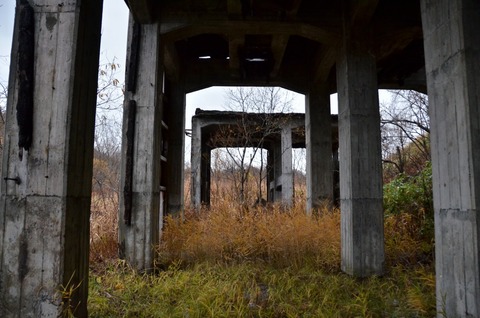 DSC_8196