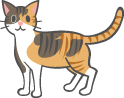 img-cat-7