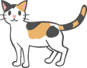 img-cat-8