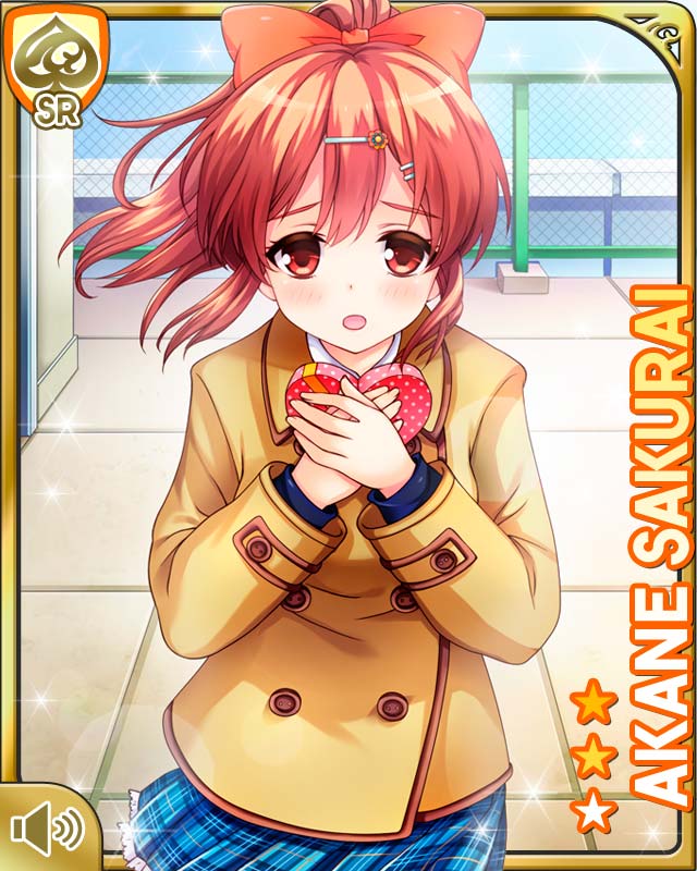 card_537