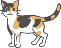img-cat-6