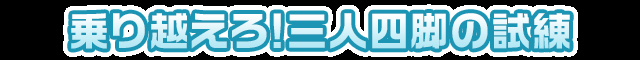 r6bbSMv