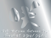 sakimatomecup_2014_02finalist