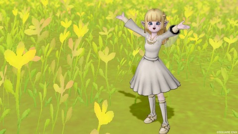 20201024-2210_549674185