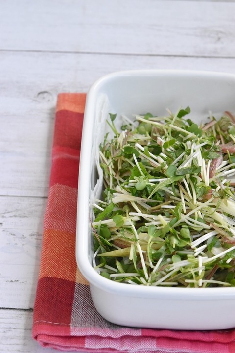 65dd50e00e6f652f9cbcc8952ffb7dc9