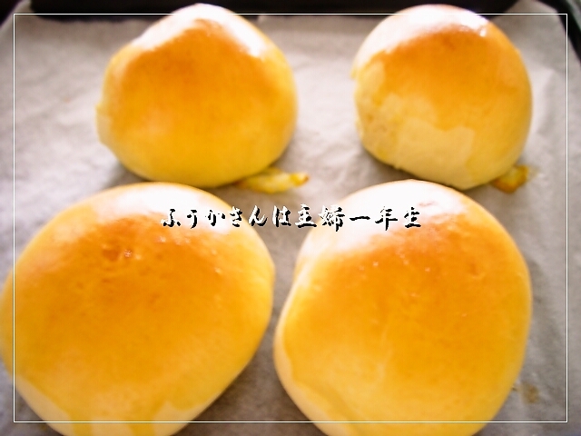 ふうかさんは主婦一年生-バン図.jpg