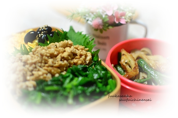 すてっぷ♪あっぷファミリー♪ふうかさんは主婦一年生