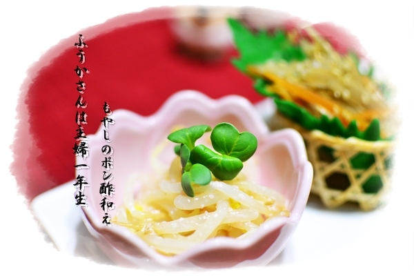 ふうかさんは主婦一年生