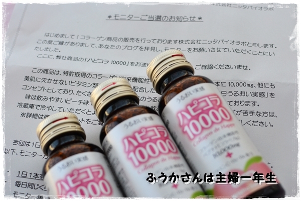 ふうかさんは主婦一年生