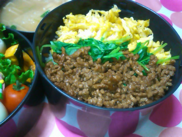 フウカさん家のお弁当-SN3L0450.jpg