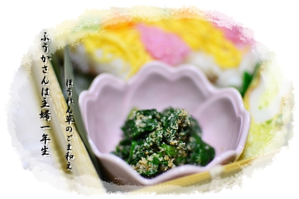 ふうかさんは主婦一年生