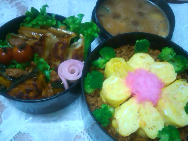 フウカさん家のお弁当-SN3L0143.jpg