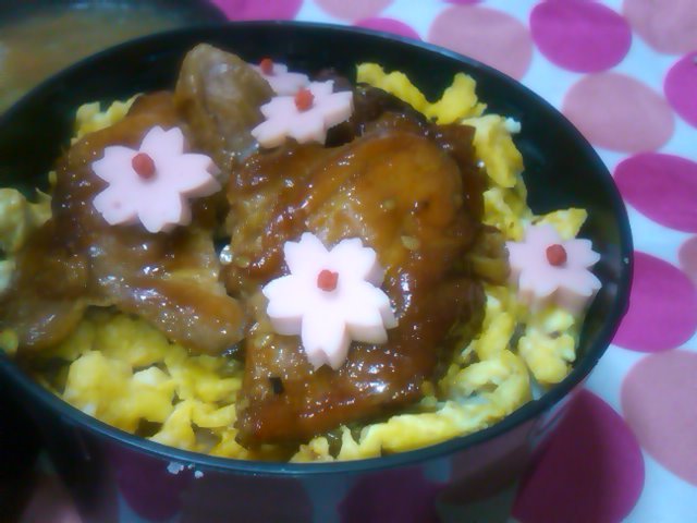 フウカさん家のお弁当-SN3L0589.jpg