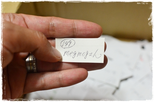 すてっぷ♪あっぷファミリー♪ふうかさんは主婦一年生