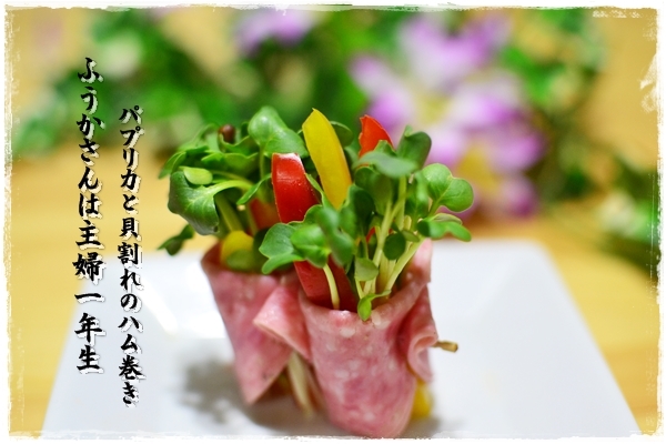 ふうかさんは主婦一年生