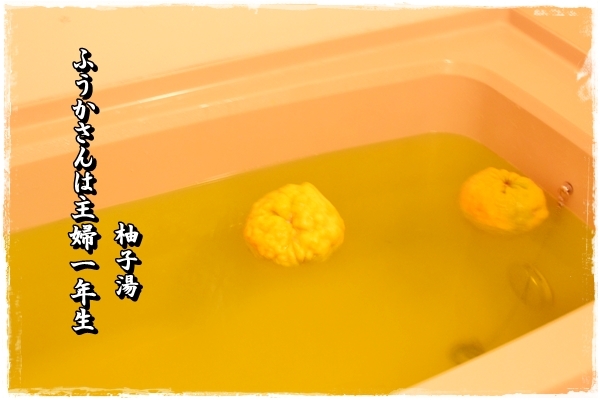 ふうかさんは主婦一年生
